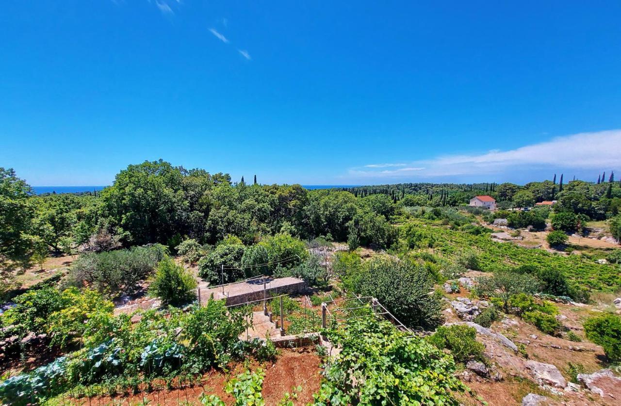 Le Petit Čilipi Exterior foto